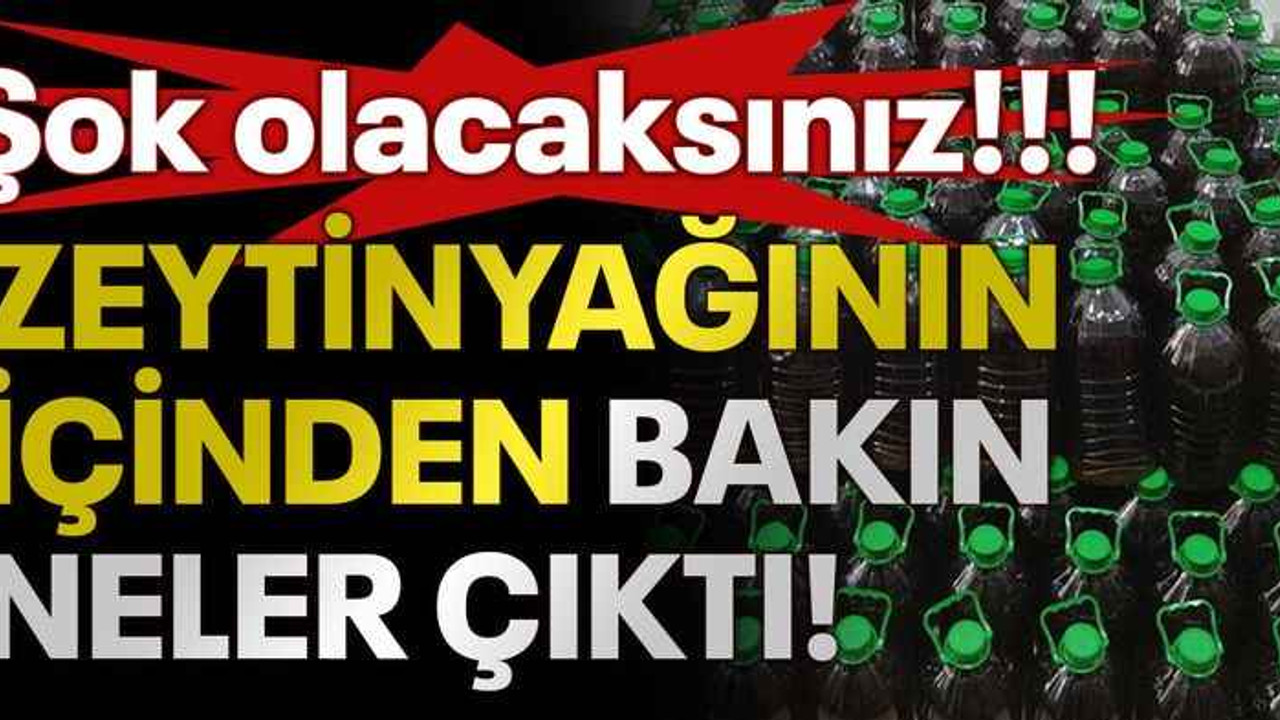 Şok olacaksınız! Zeytinyağının içinden bakın neler çıktı!